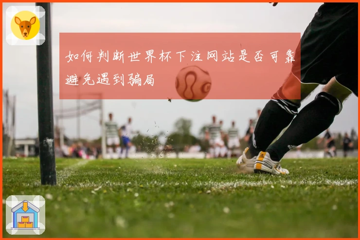 如何判断世界杯下注网站是否可靠避免遇到骗局
