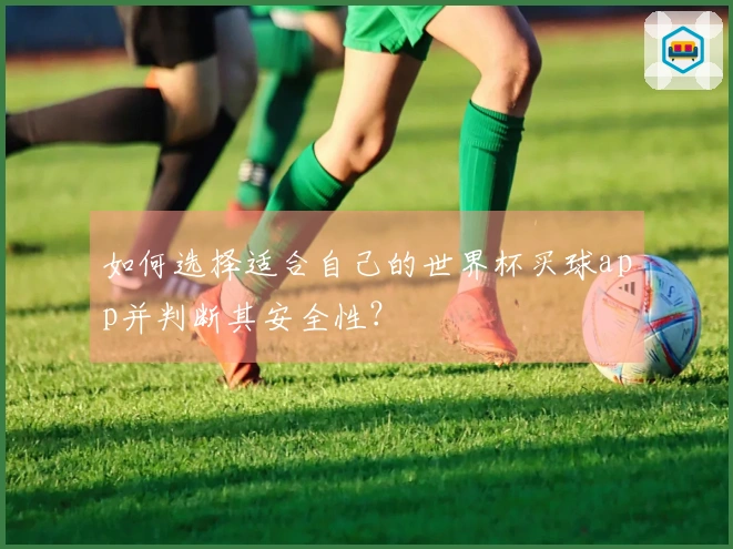 如何选择适合自己的世界杯买球app并判断其安全性？