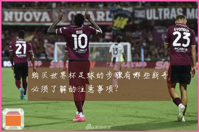 购买世界杯足球的步骤有哪些新手必须了解的注意事项？